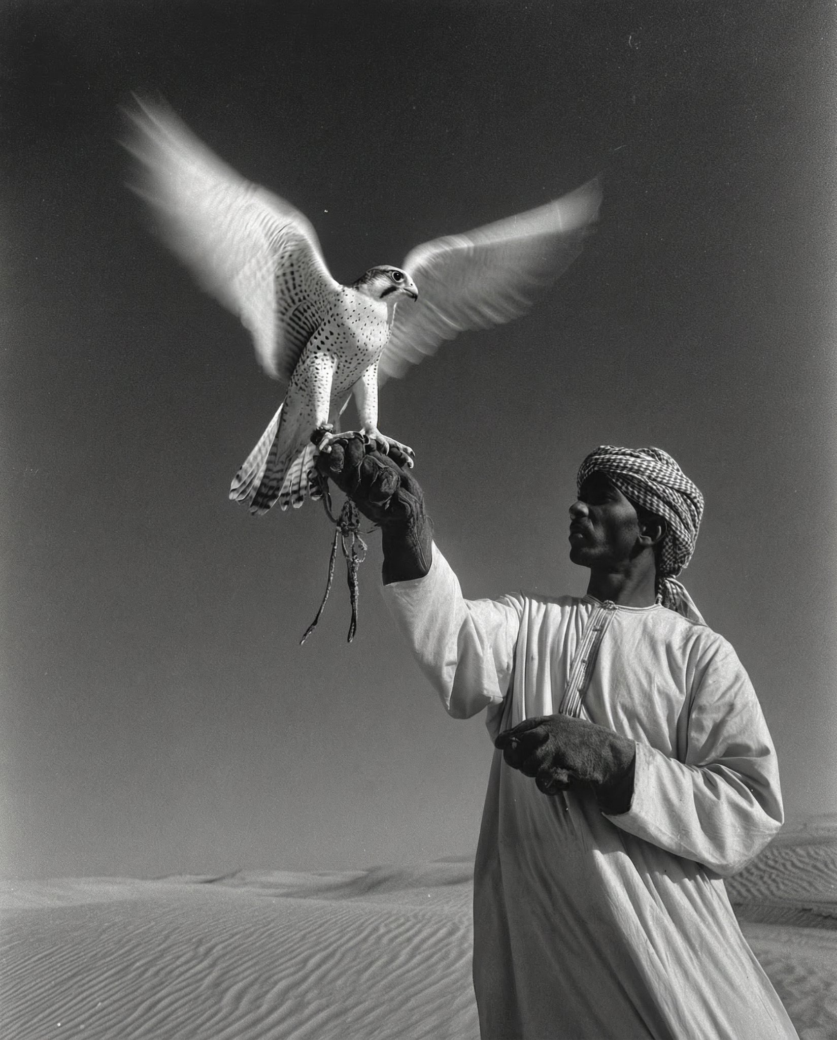 Falconer holding a bird with outstretched wings above desert dunes